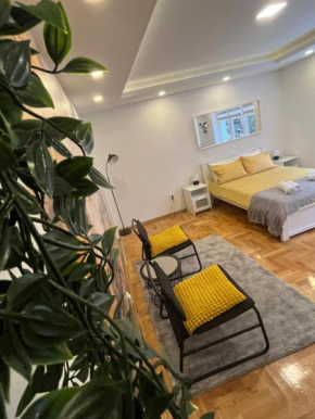 Tesla View Apartment